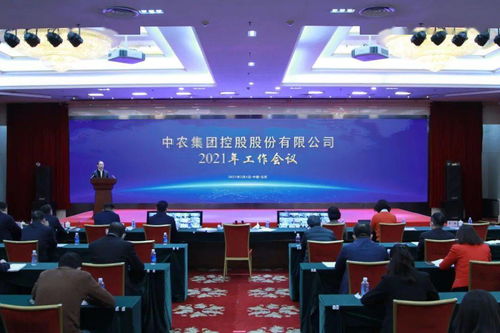 聚光成炬，照亮高質量發展之路——中農控股2021年工作會議暨企業管理咨詢新航向